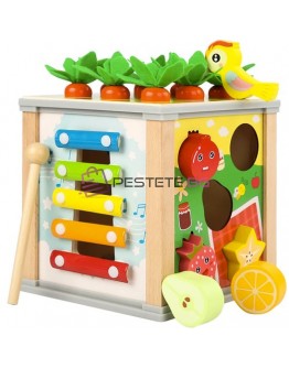 Дървен образователен куб 5в1